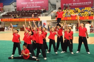 2017年中国·金华国际武术节赛场英姿