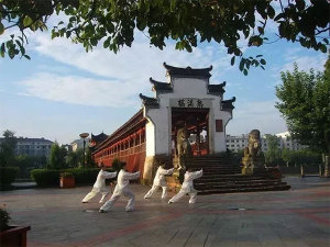 预告：第十二届中国·武义温泉节暨第四届“武动泉城”华东太极武艺交流大赛十月举办