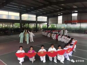 2017中国·金华国际武术节携手金华武术同行系列访谈（14）