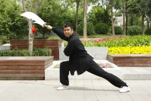 牛街白猿通背拳