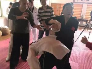 别碰我—赵大元全国擒拿格斗实用技术培训班12月再度来袭