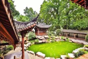 山水武义 为何刮起武学风？