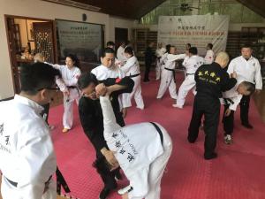 习防身自卫技能，传赵氏擒拿技艺——2019年首期全国擒拿格斗实用技术研修班结业
