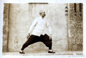 上海心意六合拳一代宗师卢嵩高先生演练十大形拳照