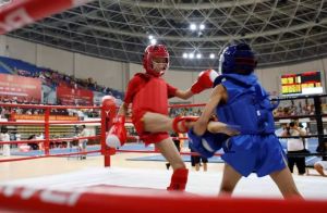 2019第三届全国青少年武术散打精英赛