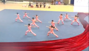 2019中国·金华第三届 国际武术节宣传视频