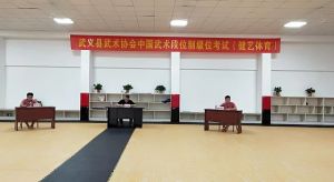 健藝體育春學期中國武術段位制考試