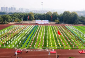 气韵武义、养生福地—— 全国百城千村健身气功活动在武义成功举办