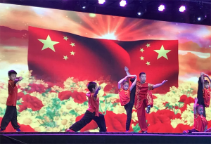 武义第十三届温泉节暨第五届“武动泉城”武术养生大会 “熟溪武韵”武术专场晚会成功举办
