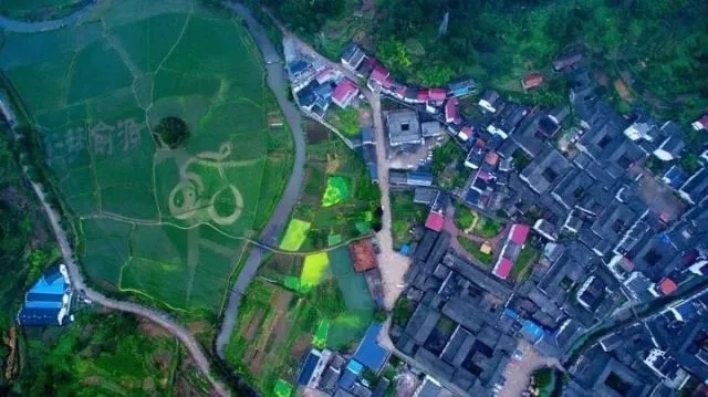 20201219_122102_007.jpg