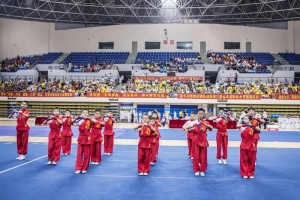 线上线下同场竞技——2021第五届金华武术节成功举办