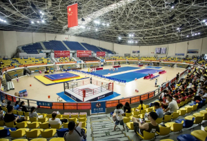 “中国体育彩票杯”2021第五届长三角传统武术大赛竞赛规程
