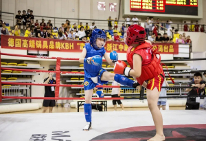 “中国体育彩票杯”2021第五届长三角青少年武术散打精英赛竞赛规程
