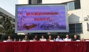 武义县武术进校园蓬勃开展
