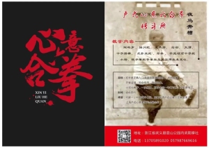 国家级非遗卢式心意六合拳招生