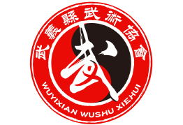 庆二十周年，武义县武术协会新版logo启用！