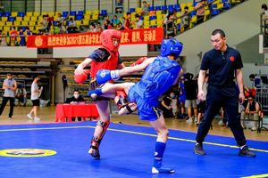 2023第六届中国·金华武术节长三角青少年武术散打精英赛竞赛规程