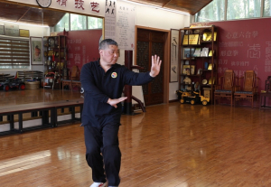 《先行者》系列报道（二）“武术生态圈”中的“一”