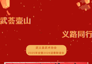 “武荟壶山  义路同行”——武义县武术协会2025年会暨2026迎春联谊会圆满举办