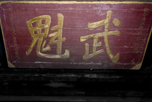 深山藏“武魁”