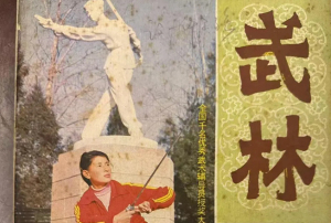 剑术奇葩——贾氏青萍剑