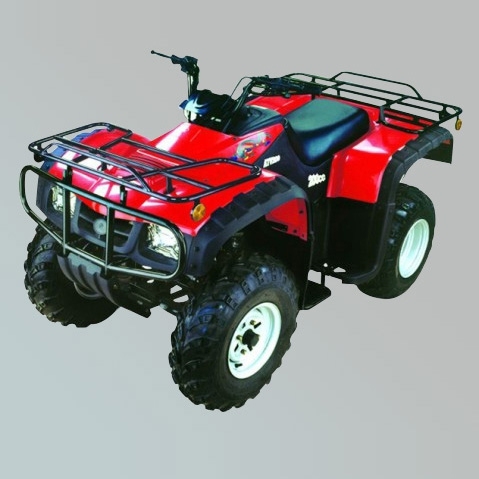 沙滩车 ZL-ATV250S-4