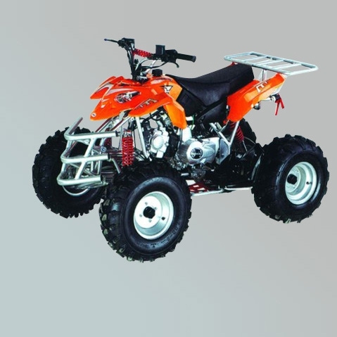 沙滩车 ZL-ATV110-5