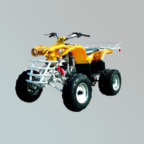 沙滩车 ZL-ATV200S-2
