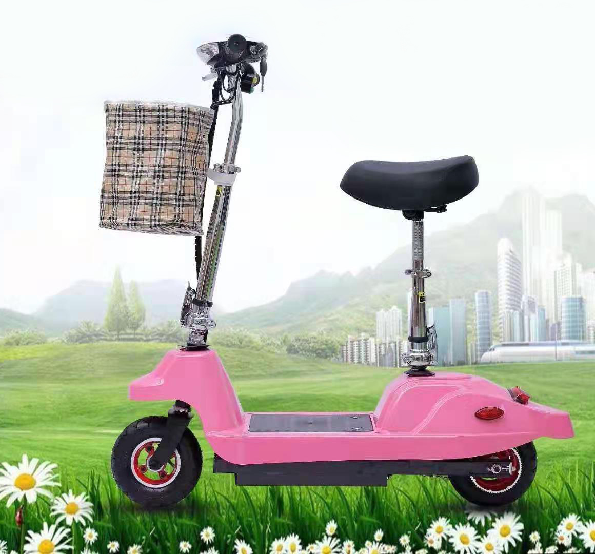 Electric scooter