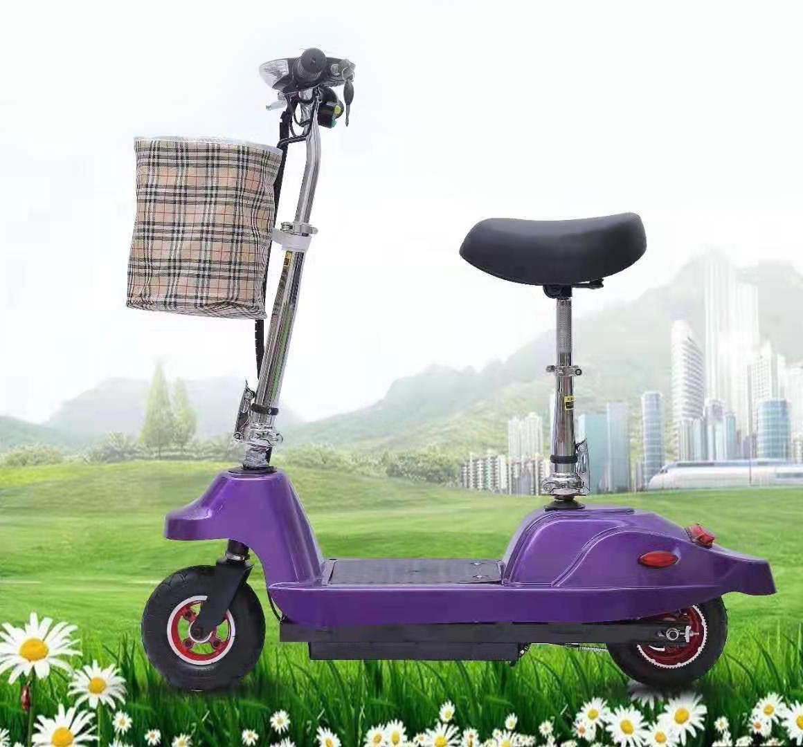 Electric scooter