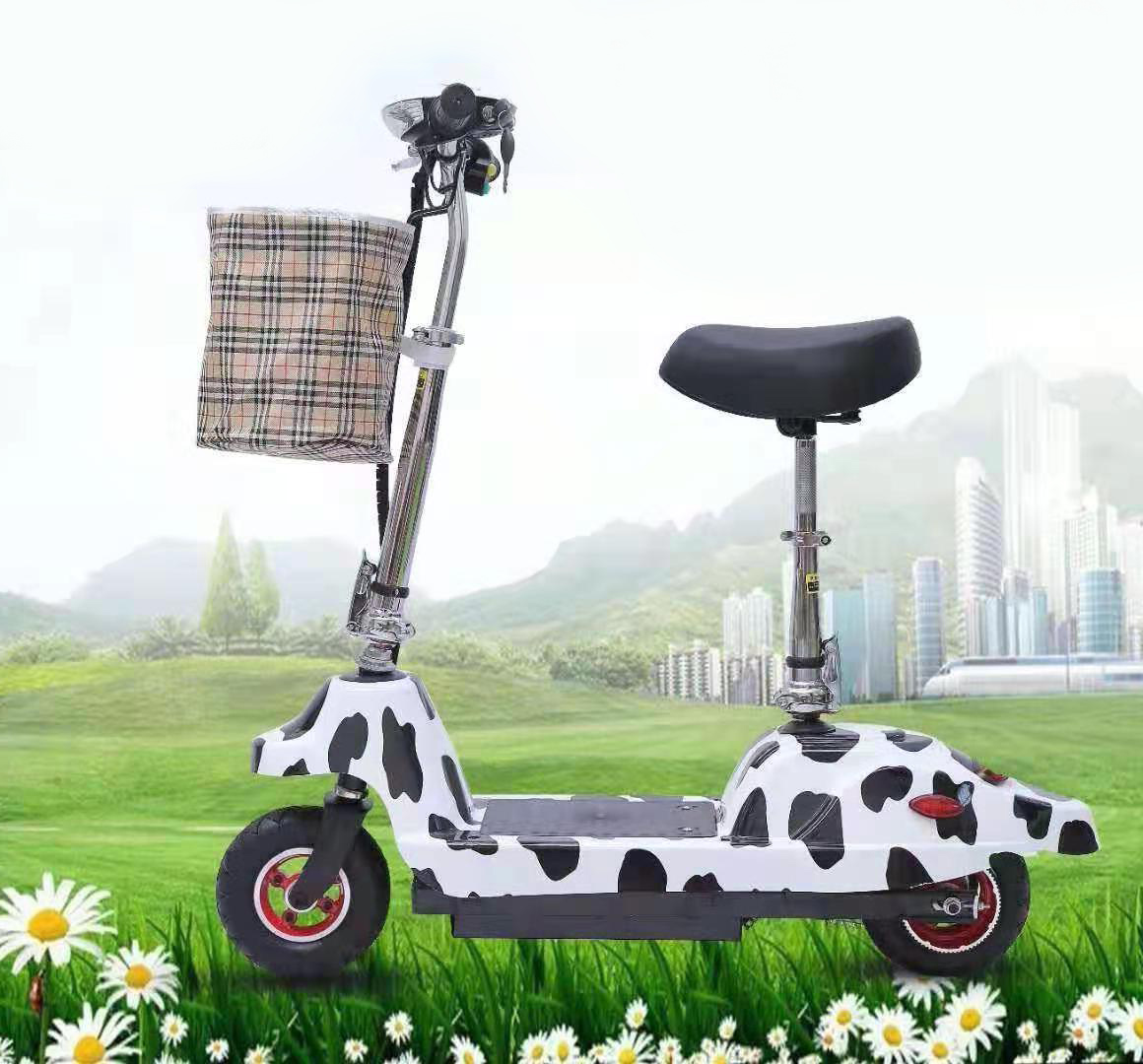 Electric scooter