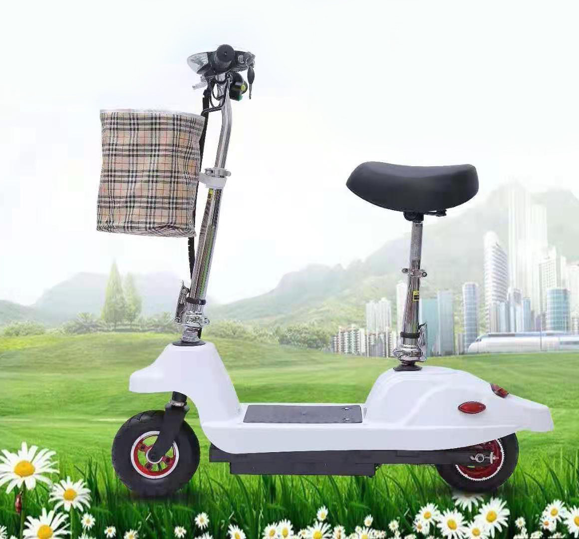 Electric scooter