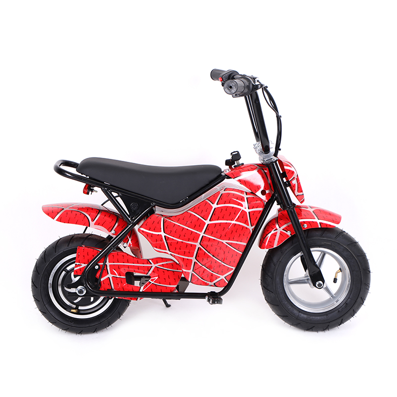 Electric small motorcycle