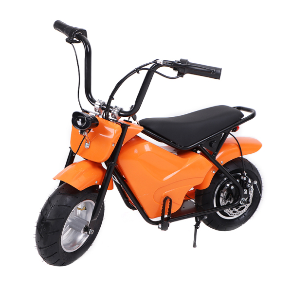 Electric small motorcycle 