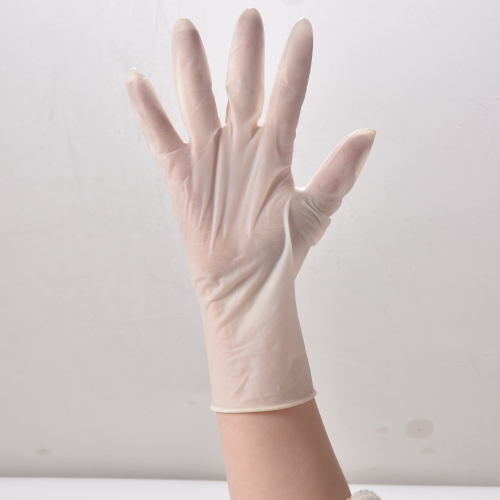 Latex Examination Gloves 