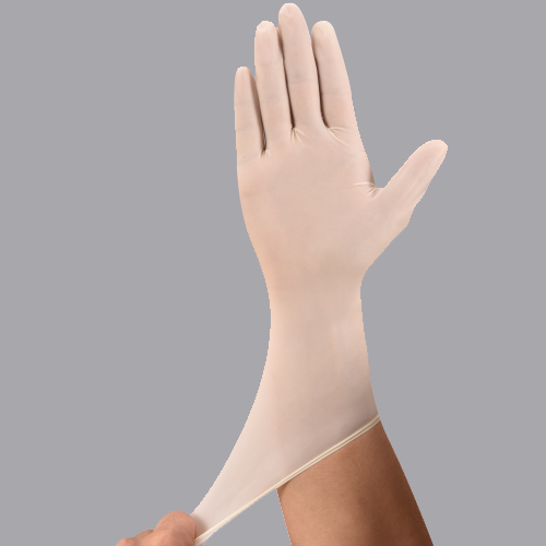 Latex Surgical Gloves（Internal Trade）