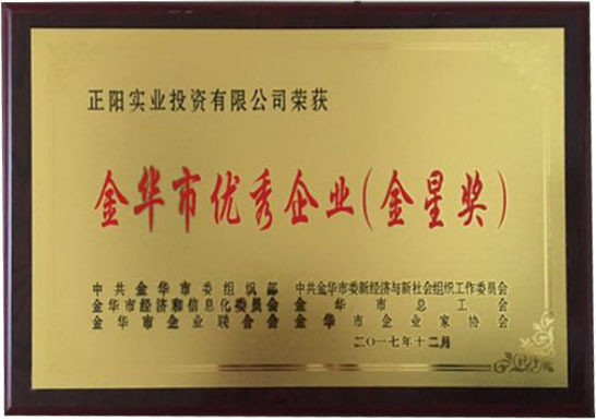 2017,12 Excellent Enterprise of Jinhua City (Golden Star Award)