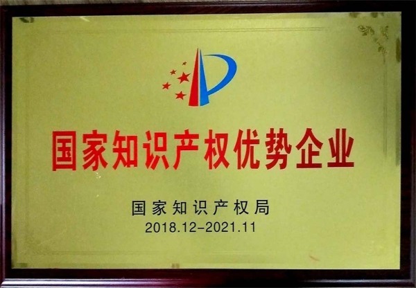 2018.12 National Intellectual Property Advantageous Enterprise