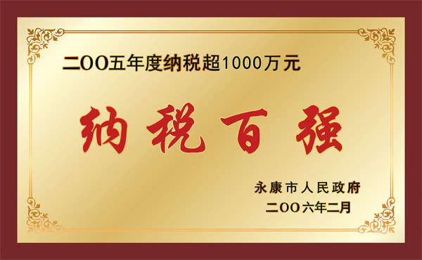 2005纳税百强