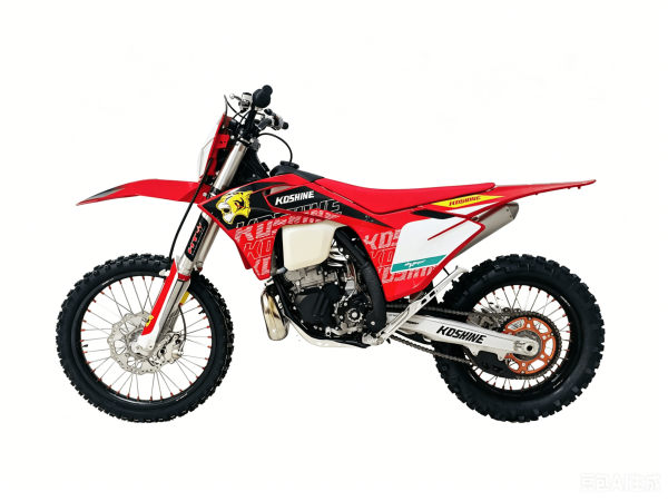 25GS300 Enduro 25GS300 Enduro
