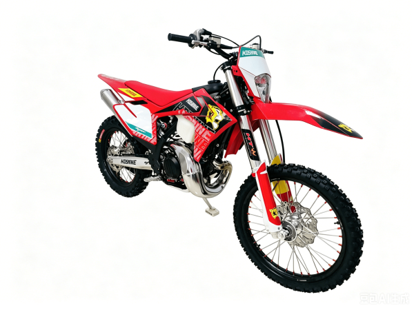 25GS300 Enduro 25GS300 Enduro