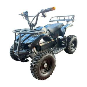 mini ATV