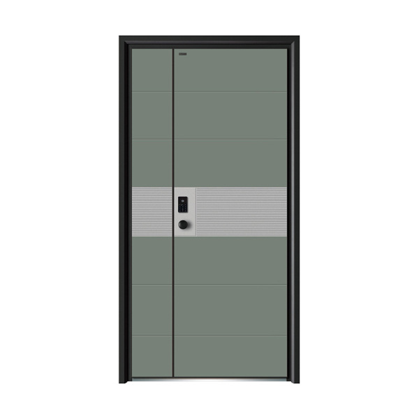 Security door ALK-8051