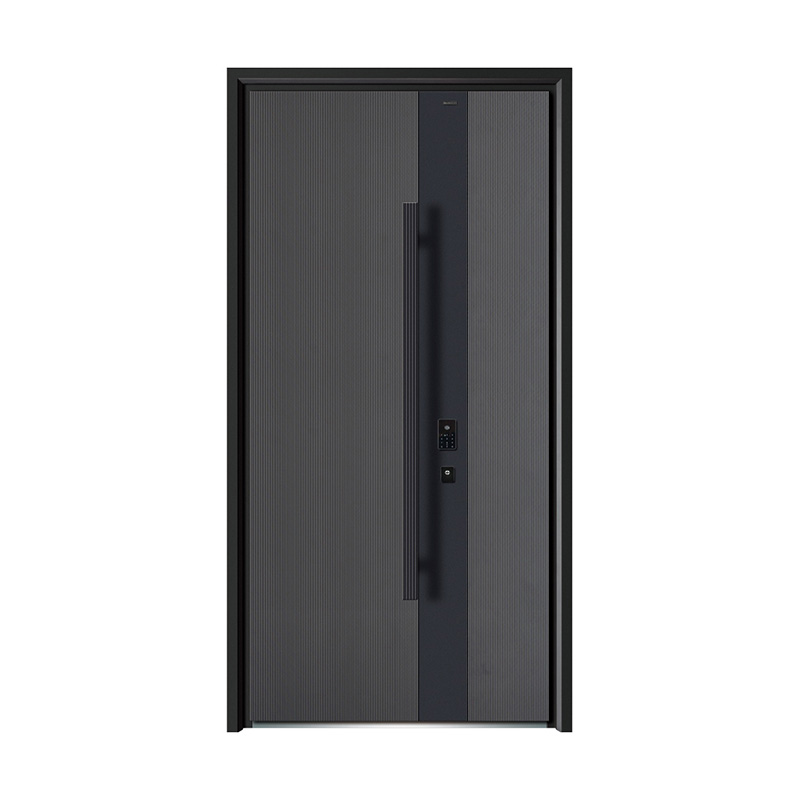 Security door