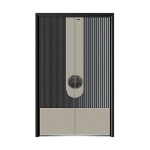 Security door