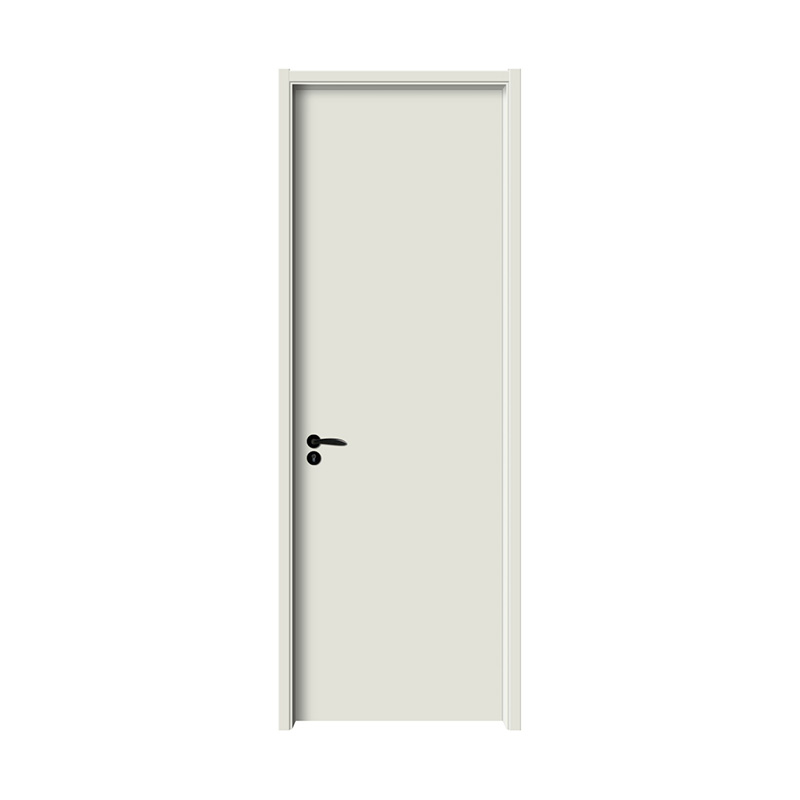 PVC door