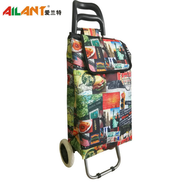 Normal style shopping trolley ELD-B201-5