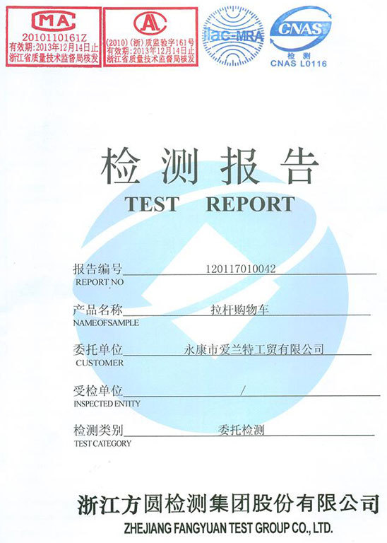Test Report 1