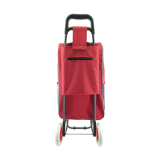 Normal style shopping trolley