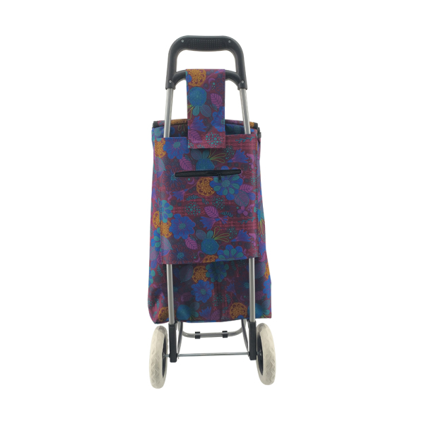 Normal style shopping trolley ELD-C301-2
